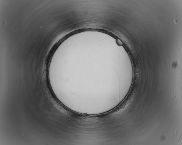 X0000101670981200808071041