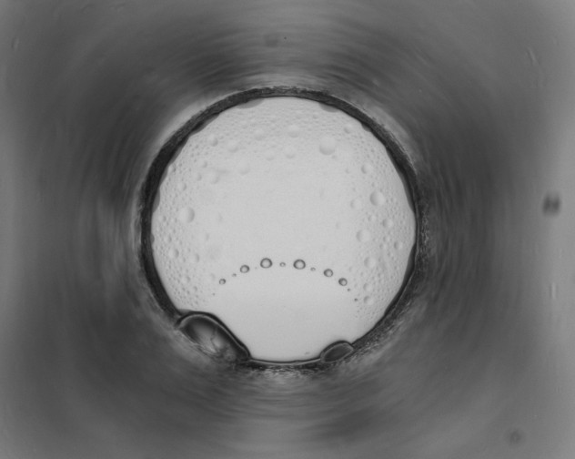 X0000101670983200808071041
