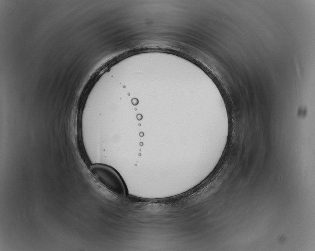X0000101670984200808071041