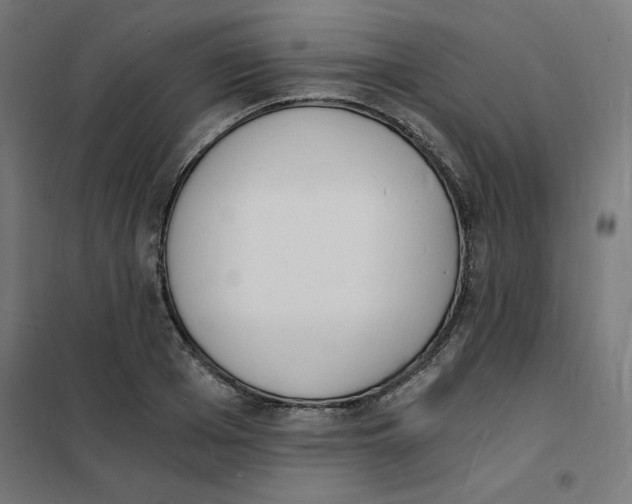 X0000101670985200808071041