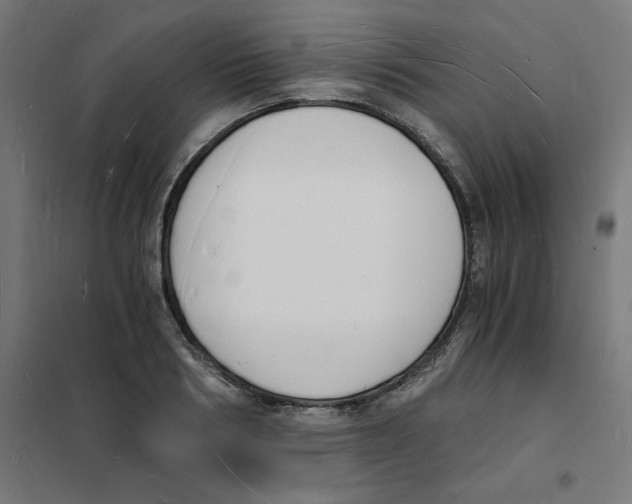 X0000101670986200808071041