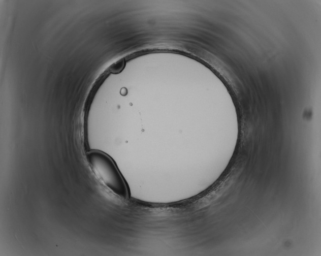 X0000101670988200808071040