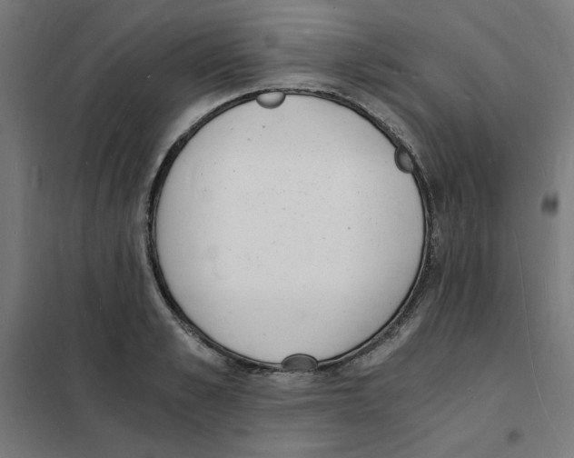 X0000101670989200808071040