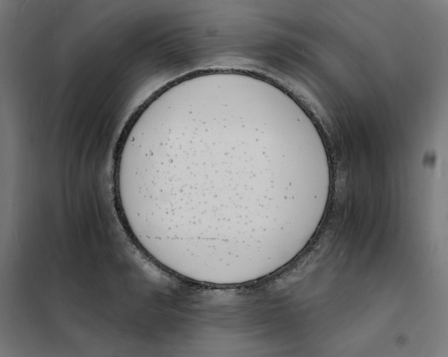 X0000101670990200808071040
