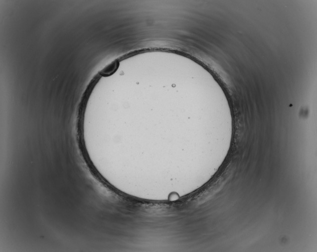 X0000101670991200808071040