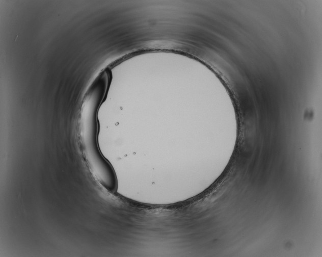 X0000101670992200808071040