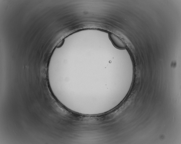 X0000101670993200808071040