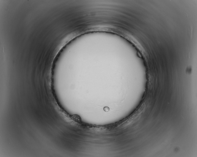 X0000101670994200808071040