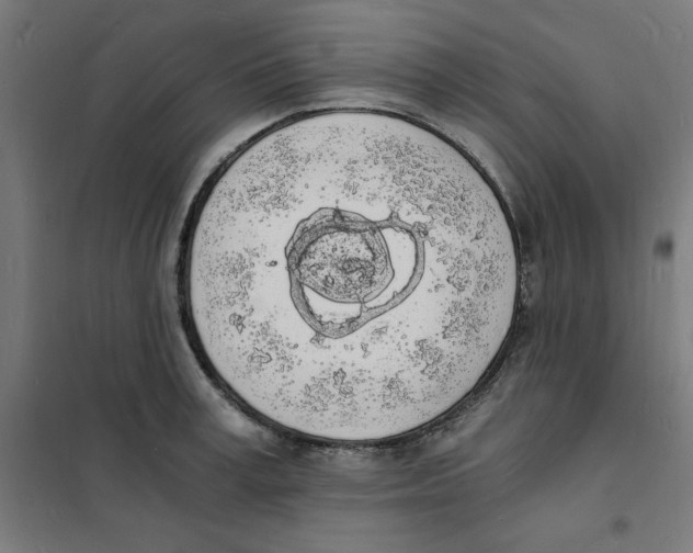 X0000101670995200808071040