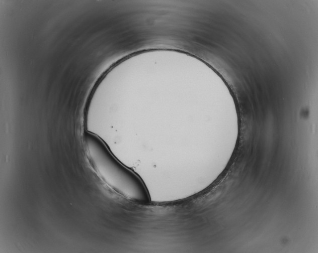 X0000101670996200808071040