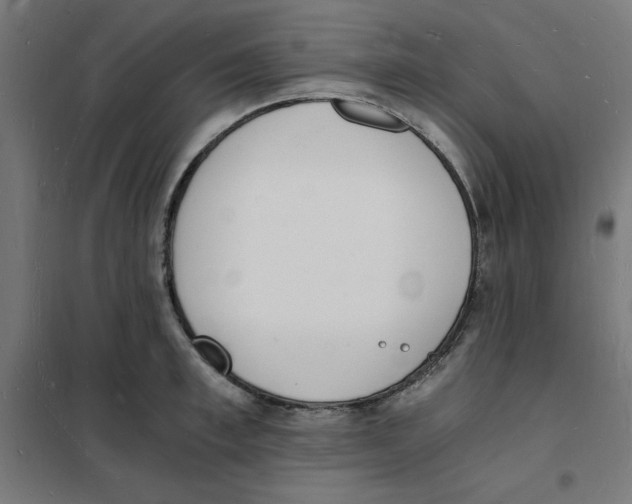 X0000101670997200808071040