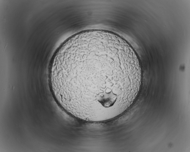 X0000101670998200808071040