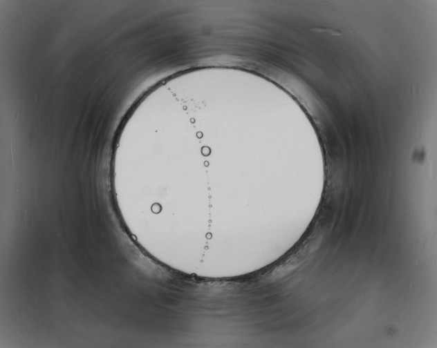 X0000101671000200808071040