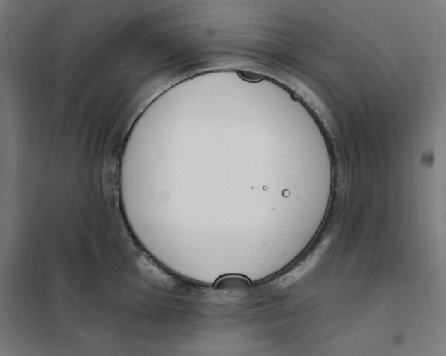 X0000101671001200808071040
