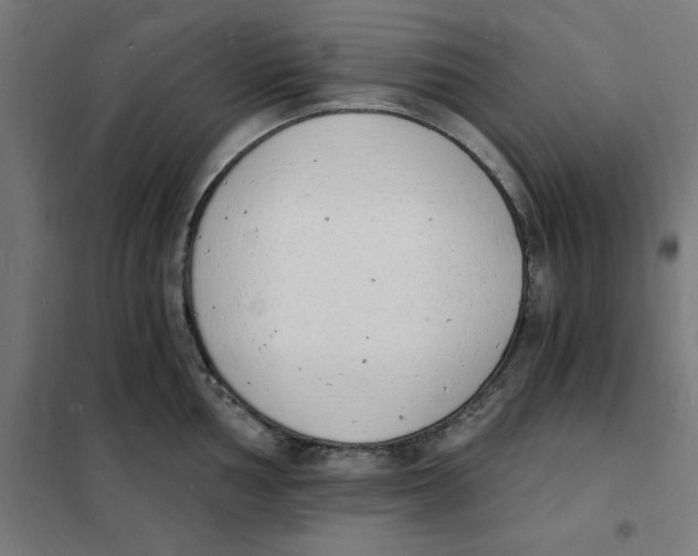 X0000101671002200808071040