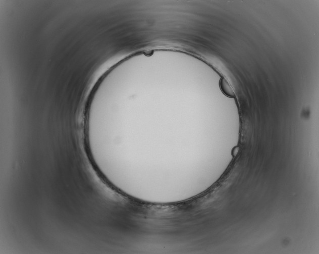 X0000101671003200808071040