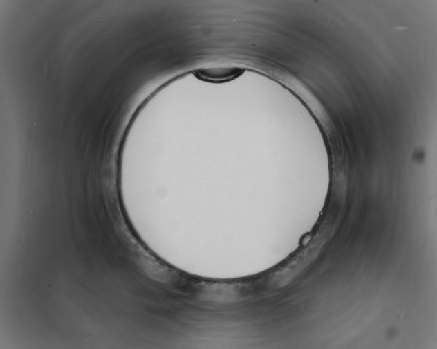 X0000101671004200808071040