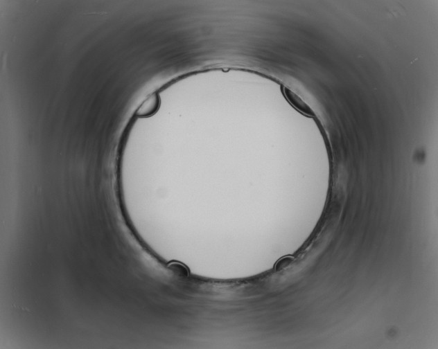 X0000101671005200808071040