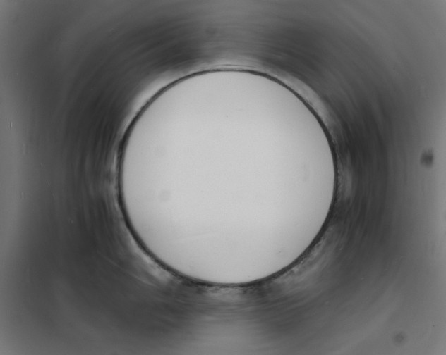 X0000101671006200808071040