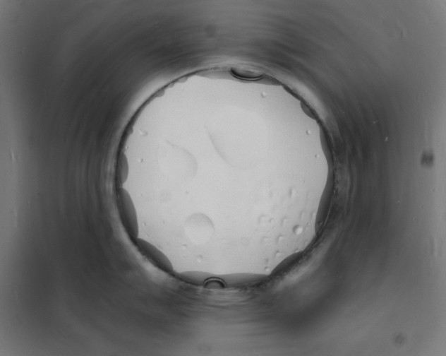 X0000101671007200808071040