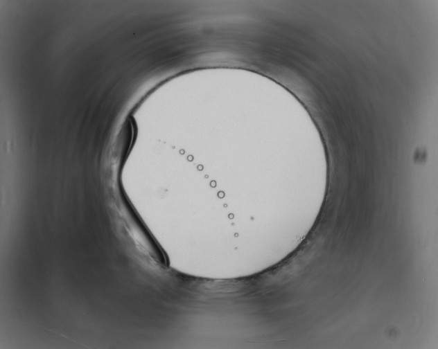 X0000101671008200808071040