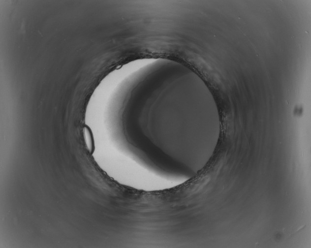 X0000101671009200808071039