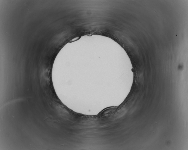 X0000101671010200808071039