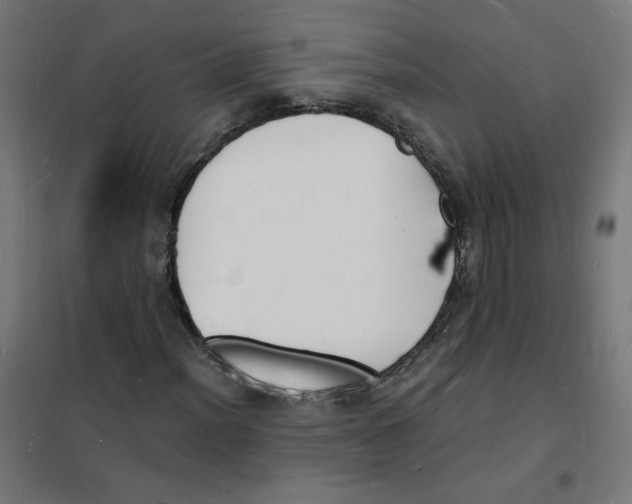 X0000101671012200808071039