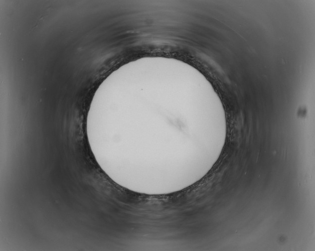 X0000101671013200808071039