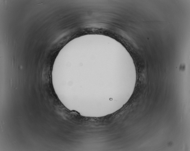 X0000101671014200808071039