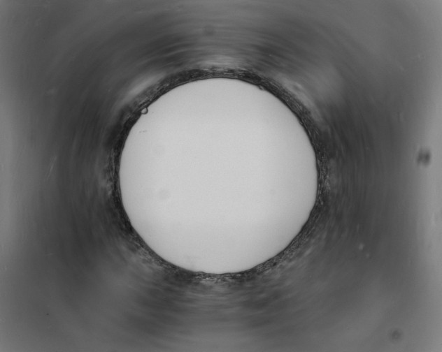 X0000101671015200808071039