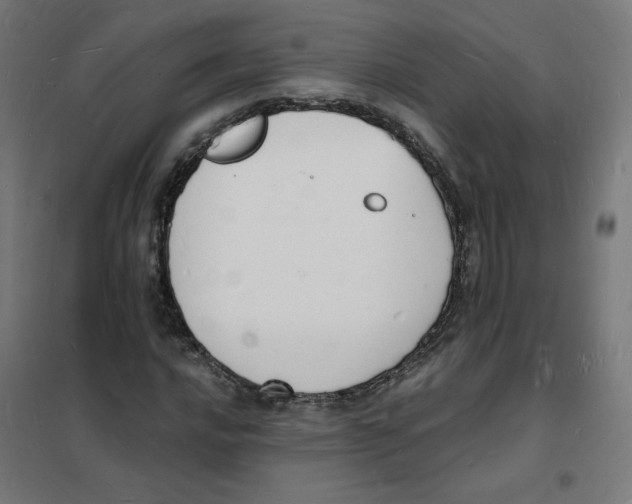 X0000101671016200808071039
