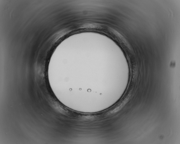 X0000101671017200808071039