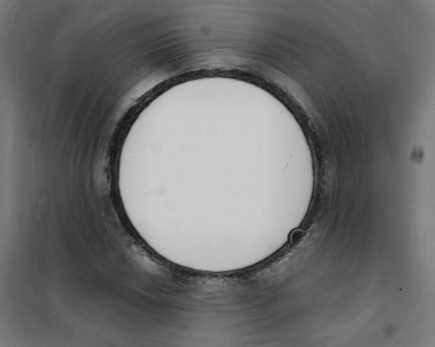 X0000101671018200808071039