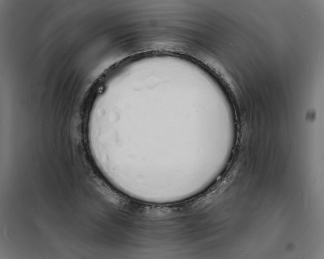 X0000101671019200808071039