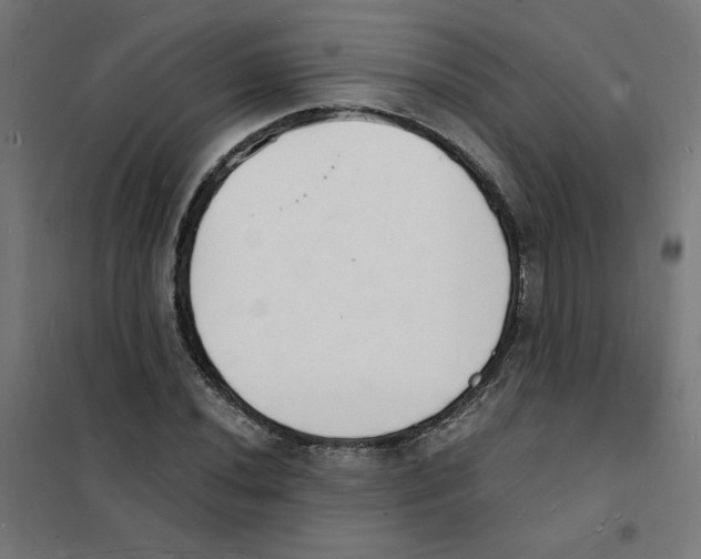 X0000101671020200808071039