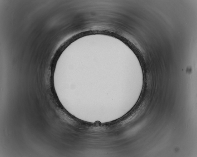 X0000101671021200808071039