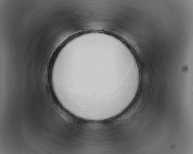 X0000101671023200808071039