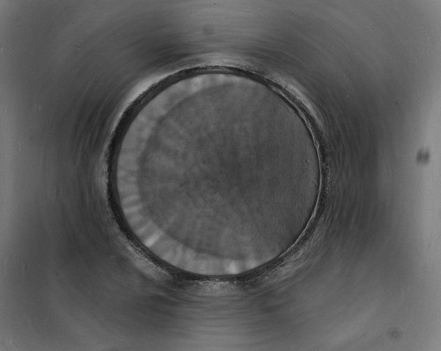 X0000101671024200808071039