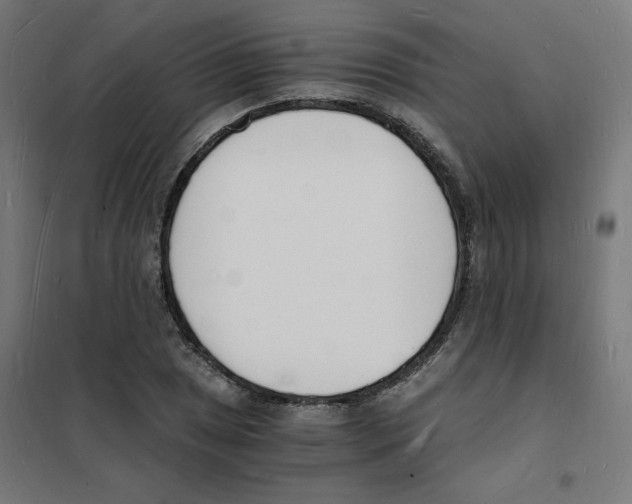 X0000101671025200808071039