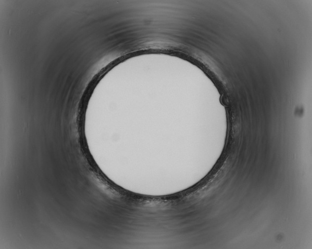 X0000101671026200808071039