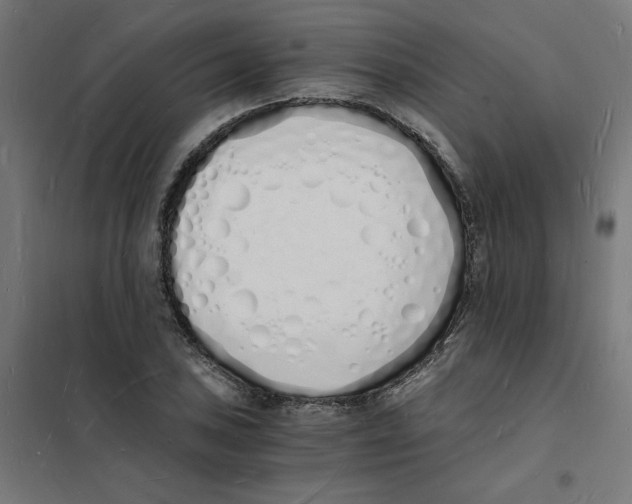 X0000101671027200808071039