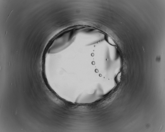 X0000101671028200808071039