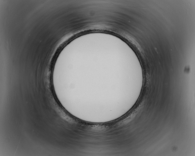 X0000101671029200808071039