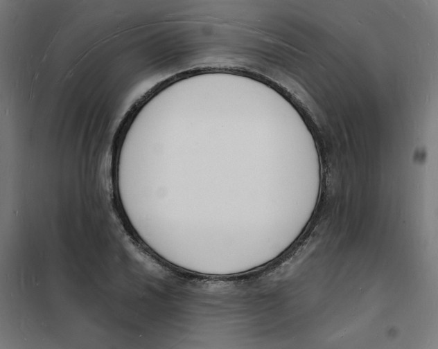 X0000101671030200808071039