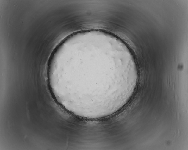 X0000101671031200808071039
