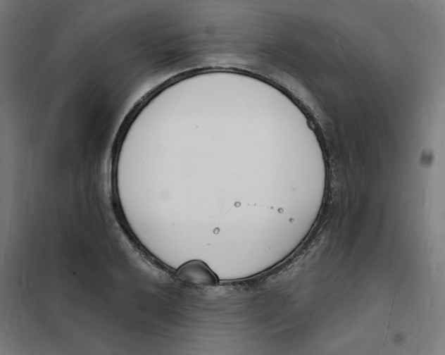 X0000101671032200808071040