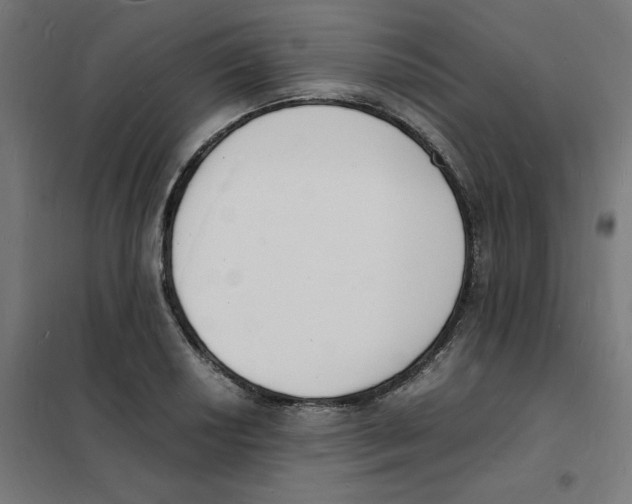 X0000101671034200808071040