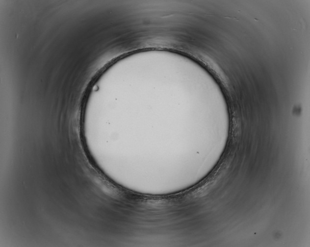 X0000101671035200808071040