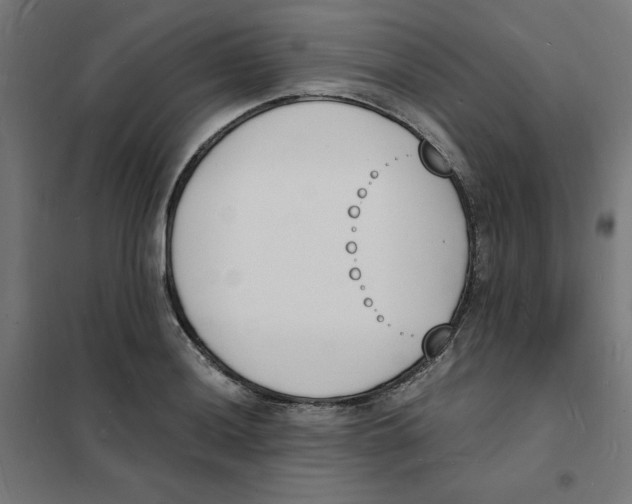 X0000101671036200808071040